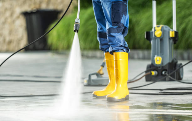 Best Roof Pressure Washing  in Morenci, AZ