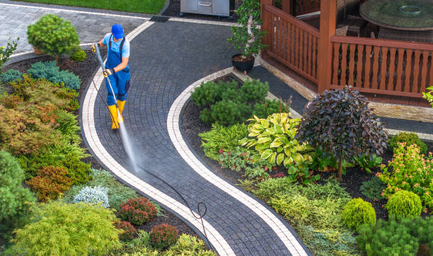 Best Local Pressure Washing Services  in Morenci, AZ
